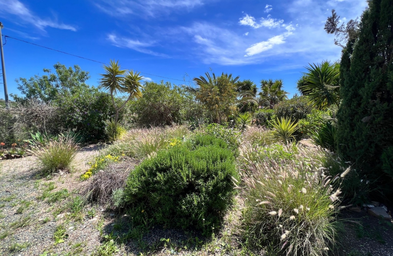 Wiederverkauf - 5. Finca / Country Property - Cartagena