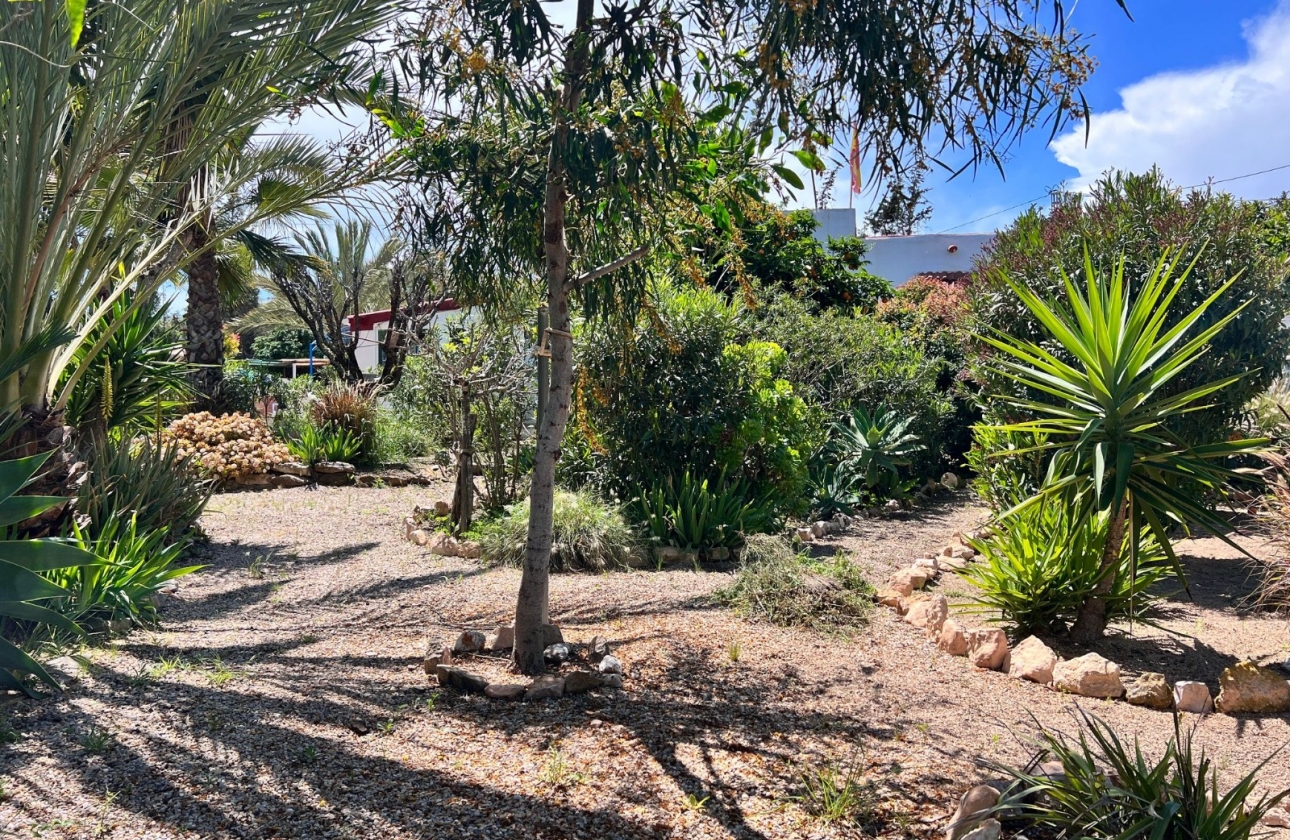 Wiederverkauf - 5. Finca / Country Property - Cartagena