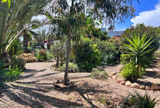 Wiederverkauf - 5. Finca / Country Property - Cartagena