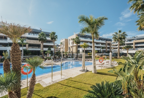 Reventa - Apartamento / piso - Orihuela Costa - Playa Flamenca