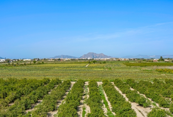 Wiederverkauf - Wohnung - Daya Nueva - Costa Blanca South