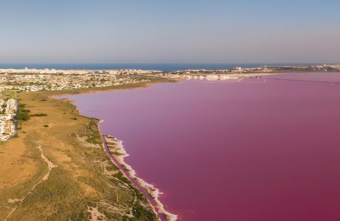 Revente - Villa - Torrevieja