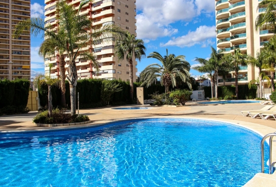 Neue Gebäude - Wohnung - Calpe - Calp
