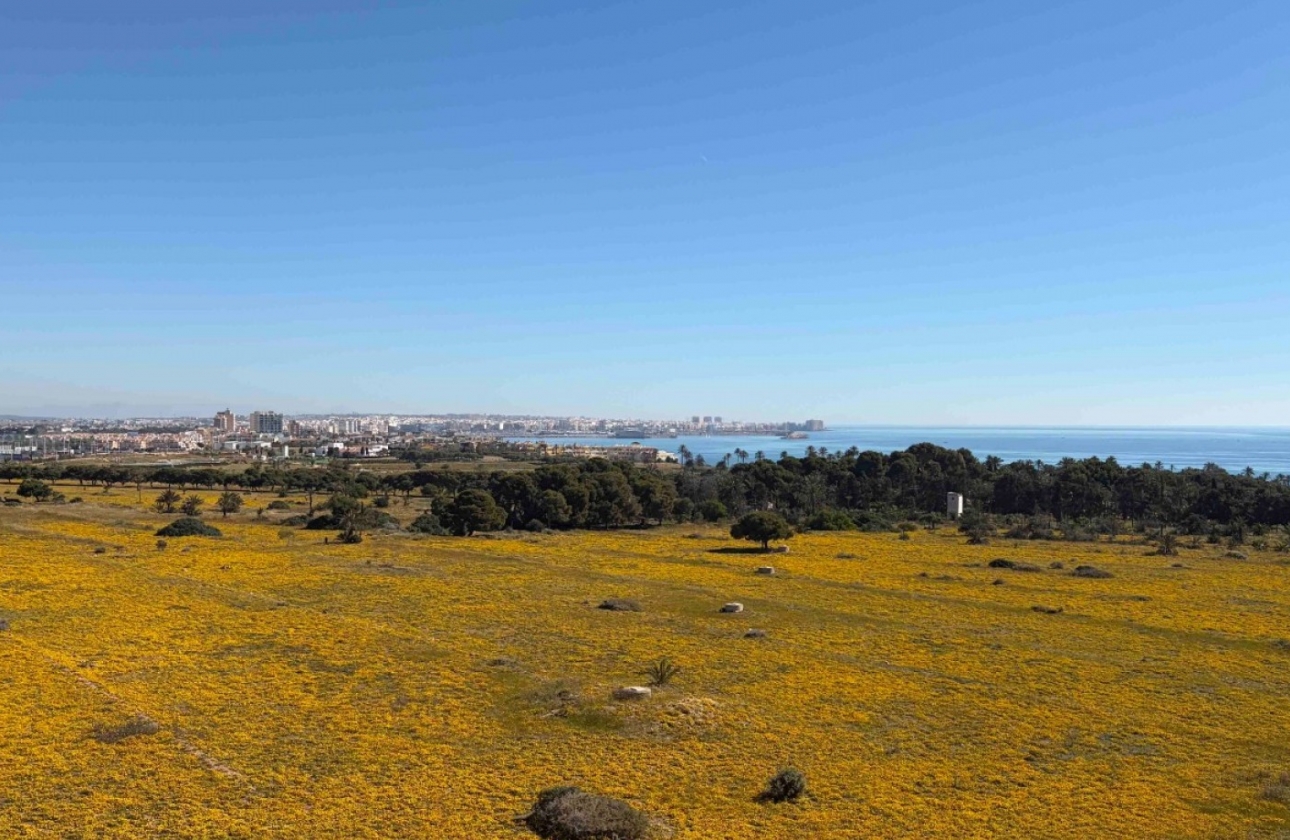 Wiederverkauf - Wohnung - Orihuela Costa - Punta Prima