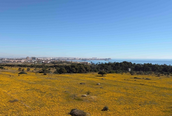 Wiederverkauf - Wohnung - Orihuela Costa - Punta Prima