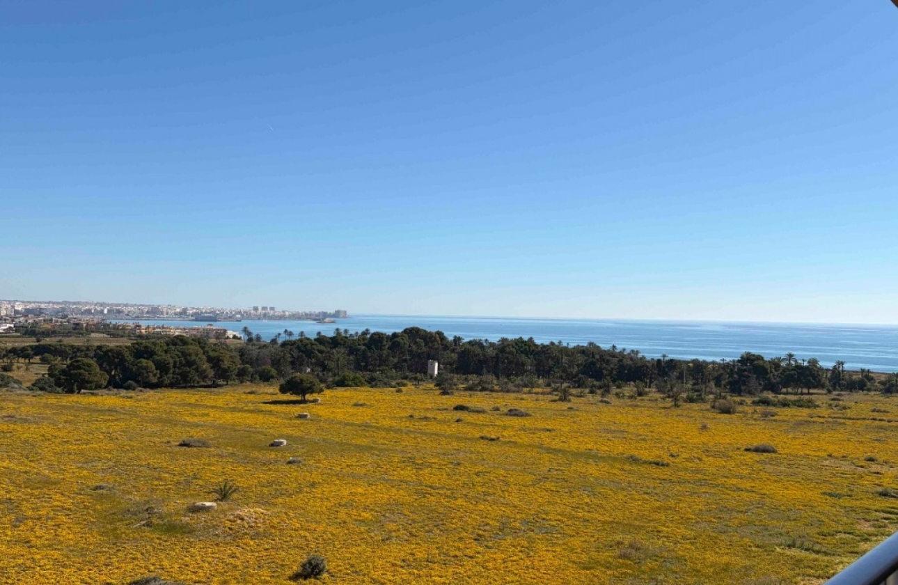 Wiederverkauf - Wohnung - Orihuela Costa - Punta Prima