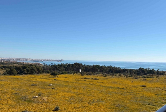 Wiederverkauf - Wohnung - Orihuela Costa - Punta Prima