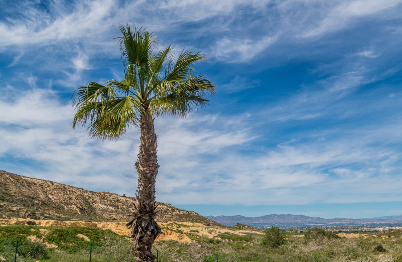 Wiederverkauf - Wohnung - Algorfa - LA FINCA GOLF / ALGORFA