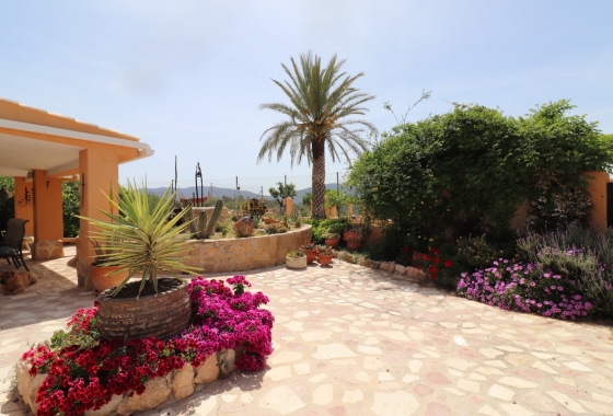 Wiederverkauf - 5. Finca / Country Property - Hondón de las Nieves - La Canalosa