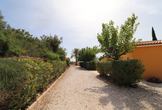 Wiederverkauf - 5. Finca / Country Property - Hondón de las Nieves - La Canalosa