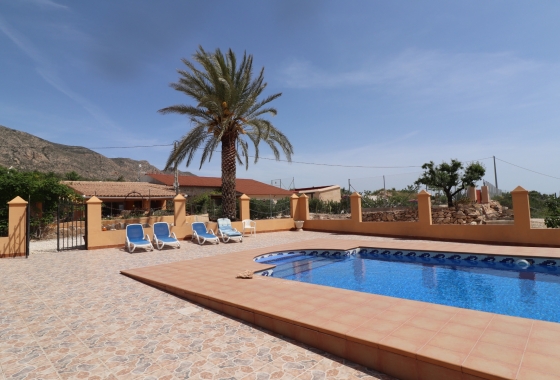 Wiederverkauf - 5. Finca / Country Property - Hondón de las Nieves - La Canalosa