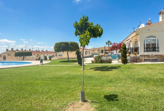 Herverkoop - Appartement / flat - Ciudad Quesada