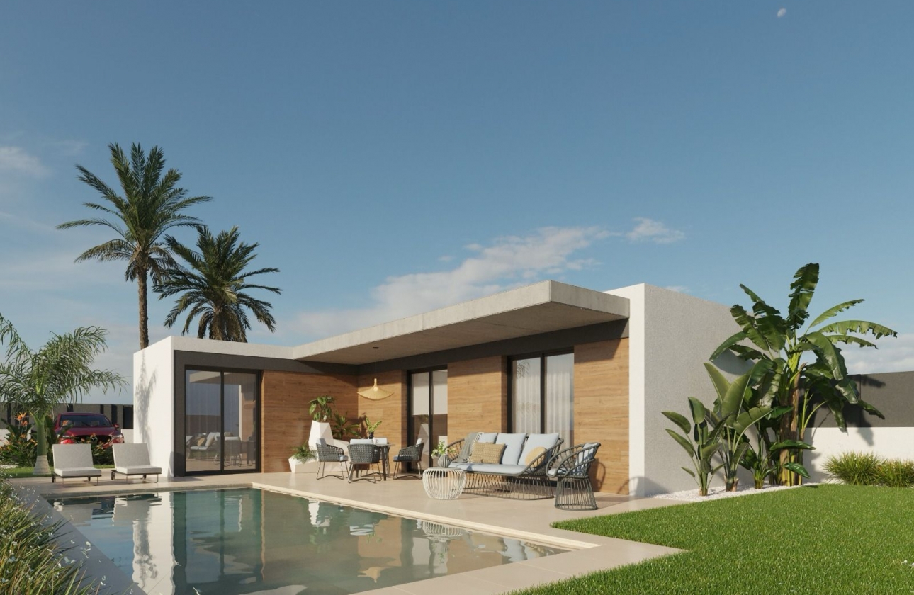 Obra nueva - Villa - Molina De Segura
