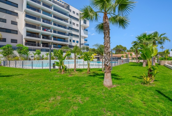 Herverkoop - Appartement / flat - Campoamor - Dehesa de campoamor