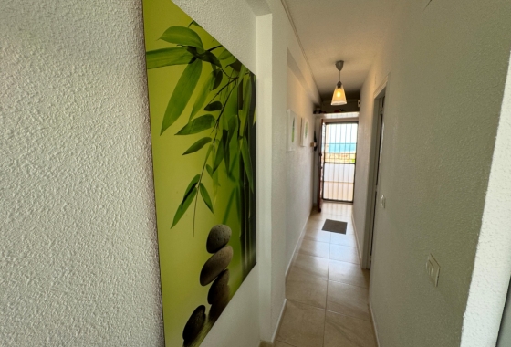 Resale - Apartment / flat - Torrevieja - Torrevieja>Cabo Cervera