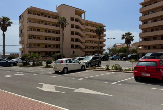 Resale - Apartment / flat - Torrevieja - Torrevieja>Cabo Cervera