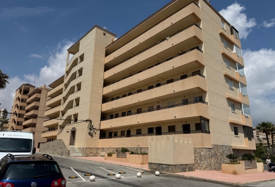 Resale - Apartment / flat - Torrevieja - Torrevieja>Cabo Cervera