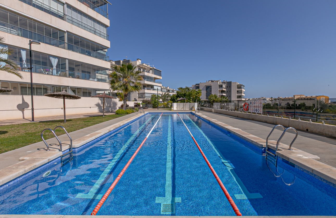 Reventa - Apartamento / piso - Orihuela Costa - Pimienta
