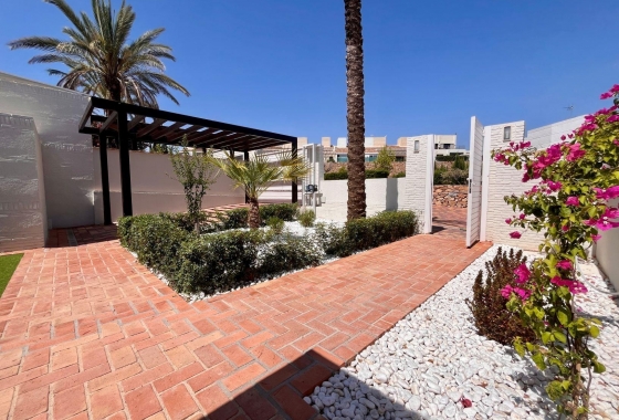 Nouvelle construction - Maison - Peraleja Golf
