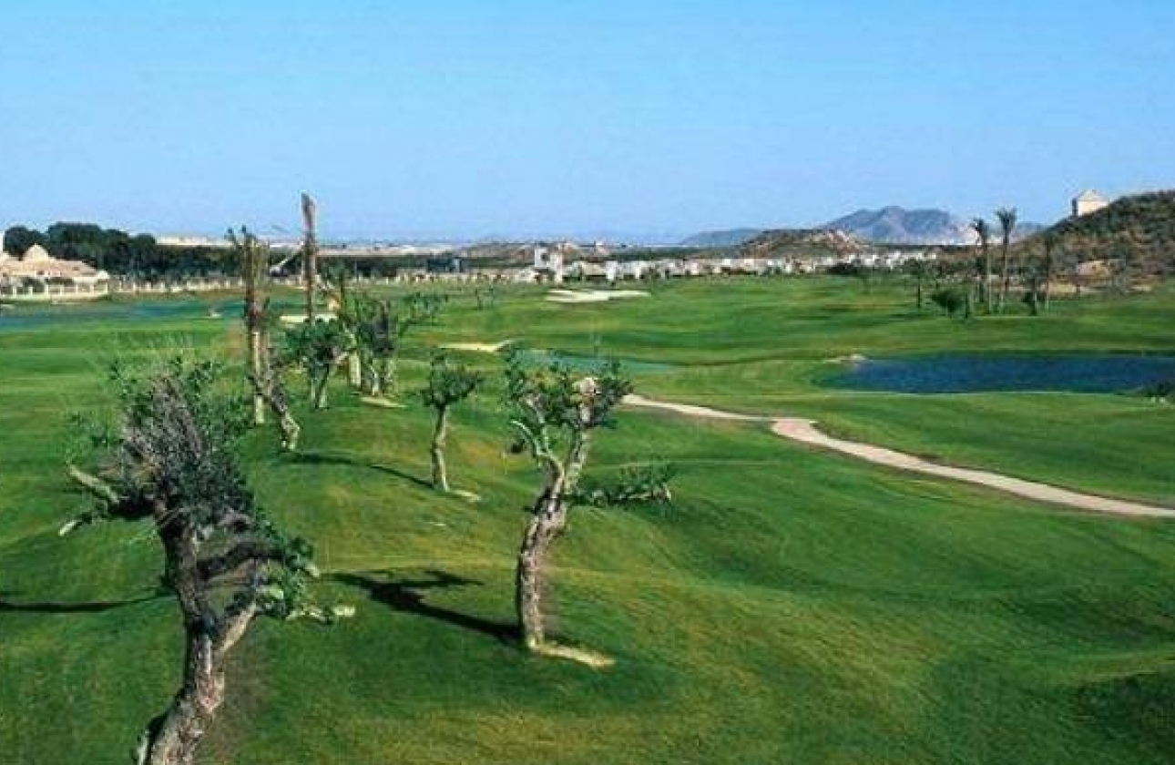 Nouvelle construction - Maison - Peraleja Golf