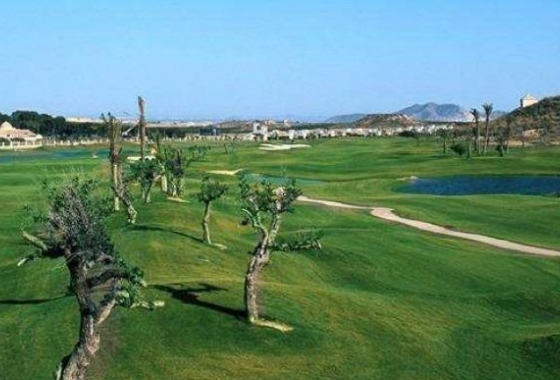 Nouvelle construction - Maison - Peraleja Golf