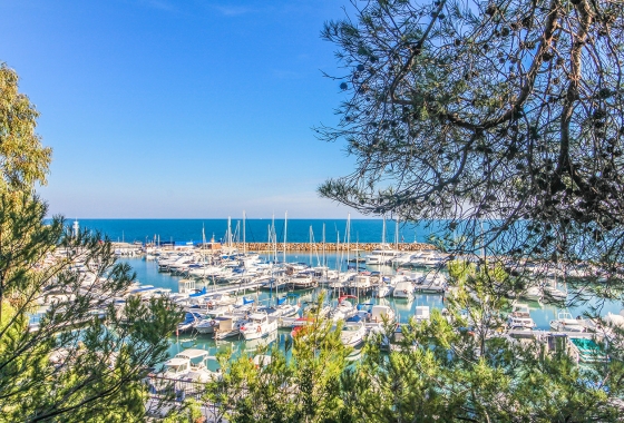 Revente - Appartement - Campoamor - Dehesa de Campoamor