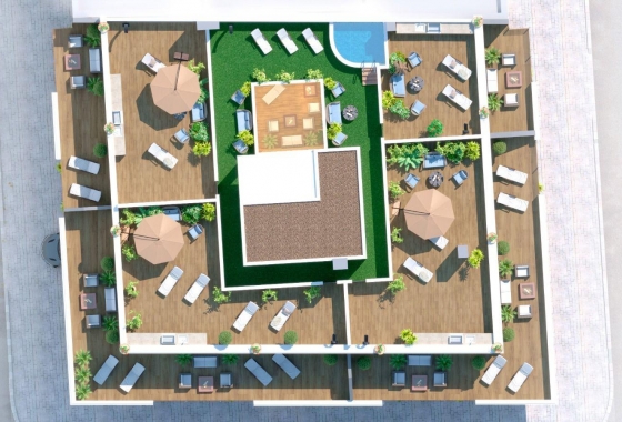 Obra nueva - Ático - Torrevieja