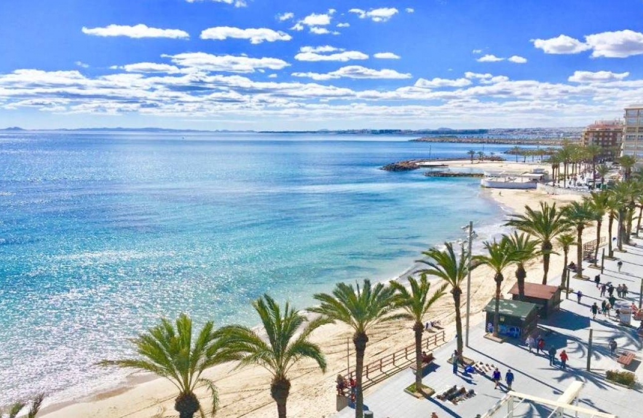 Obra nueva - Villa - Torrevieja - Lago Jardin