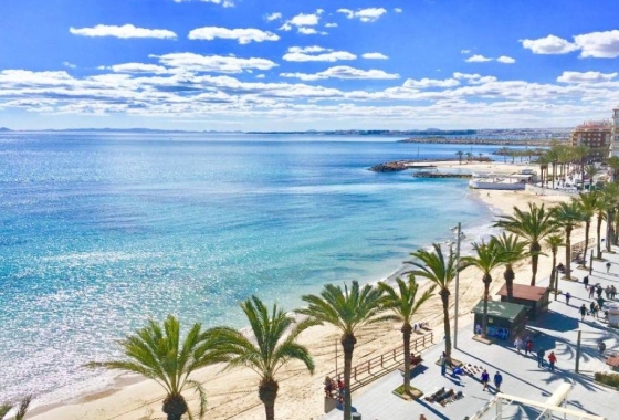 Obra nueva - Villa - Torrevieja - Lago Jardin