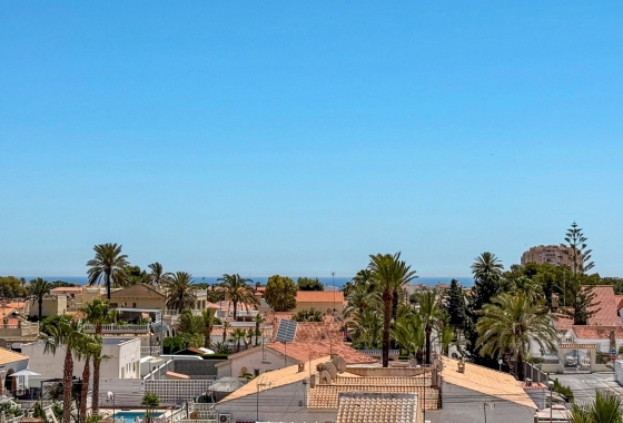 Herverkoop - Appartement / flat - Torrevieja