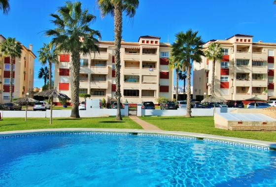 Wiederverkauf - Wohnung - Playa Flamenca
