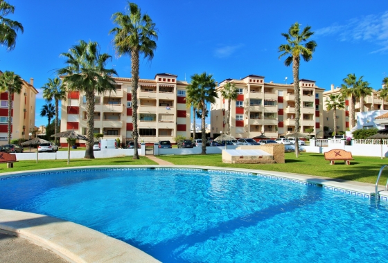 Wiederverkauf - Wohnung - Playa Flamenca