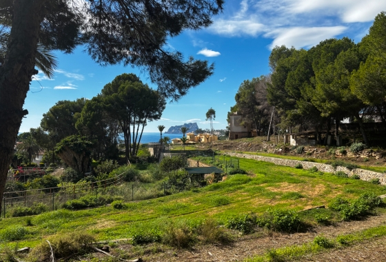 Wiederverkauf - Land - Moraira - Pla Del Mar
