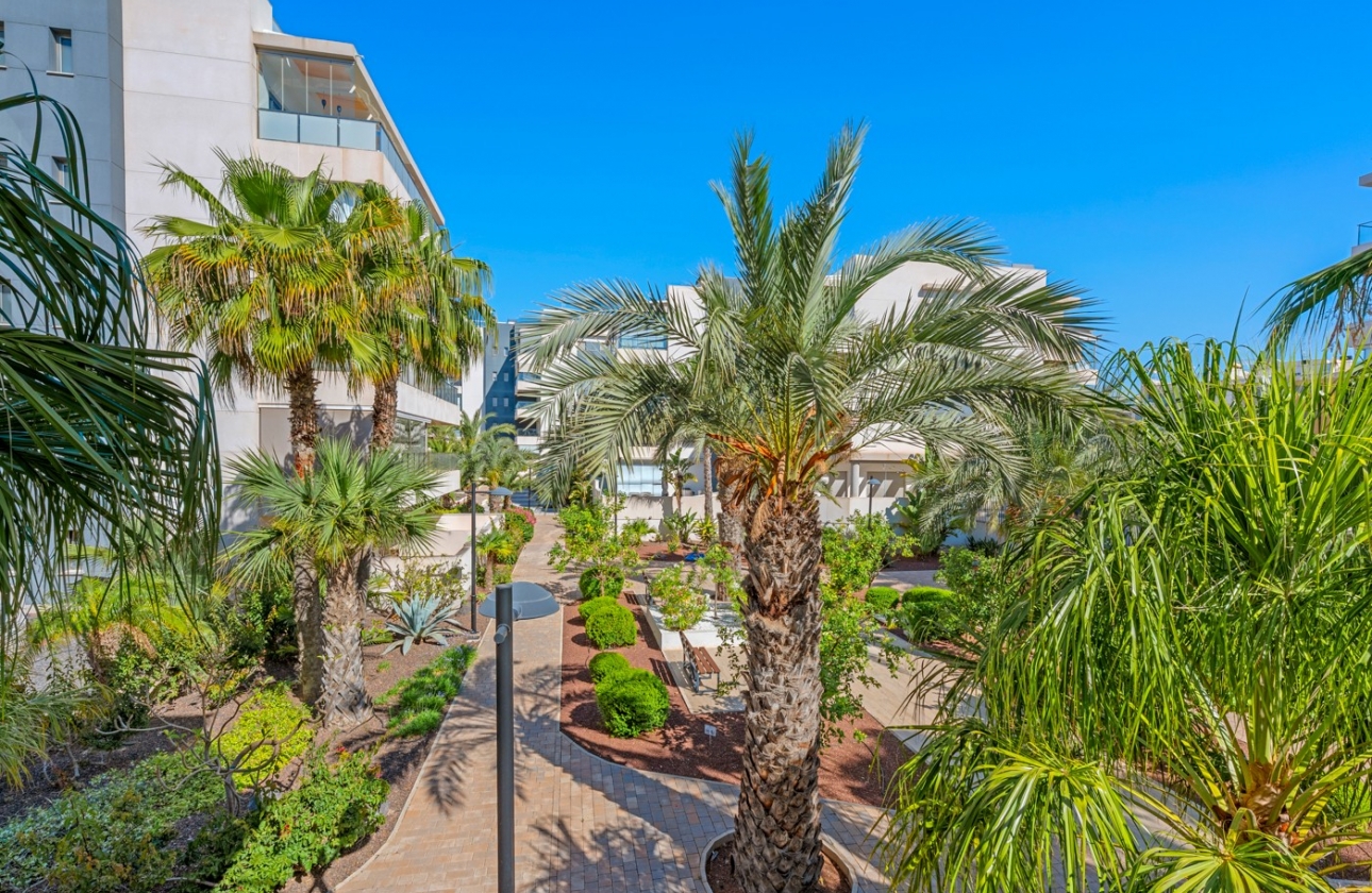 Wiederverkauf - Wohnung - Orihuela Costa - Los Dolses