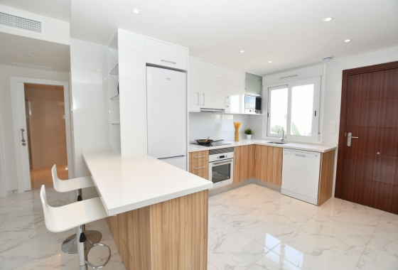 New Build - Penthouse - San Miguel de Salinas
