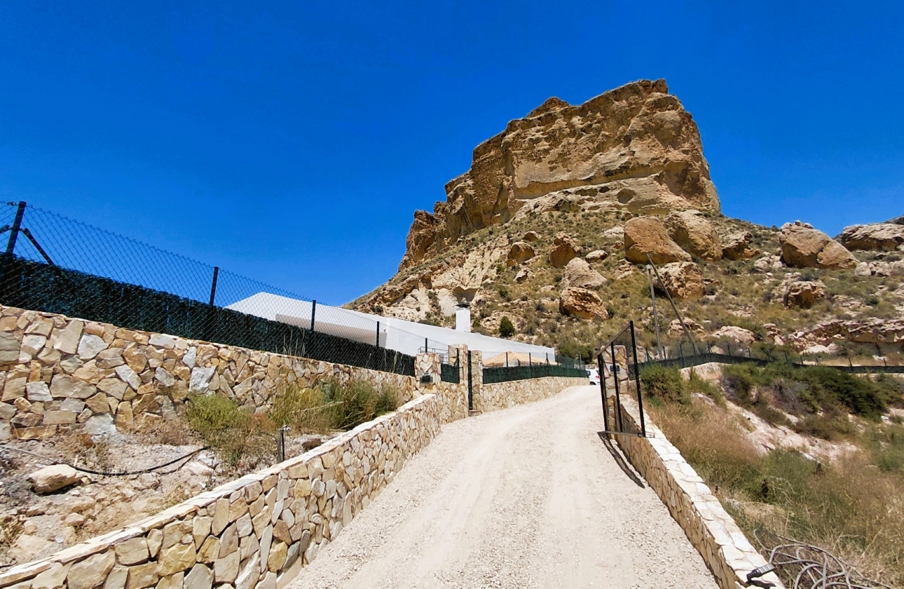 Reventa - Villa - Crevillente