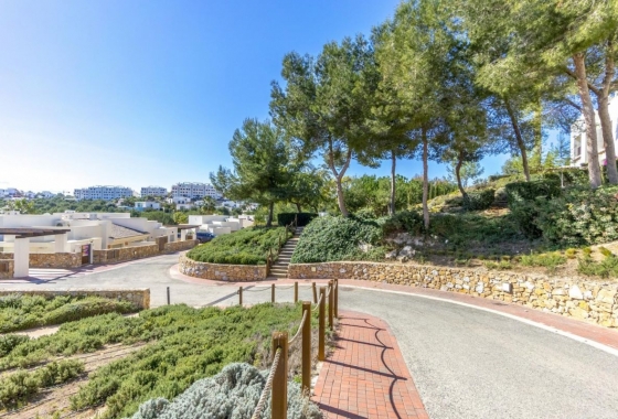 Resale - Apartment / flat - Orihuela Costa - Las Colinas golf