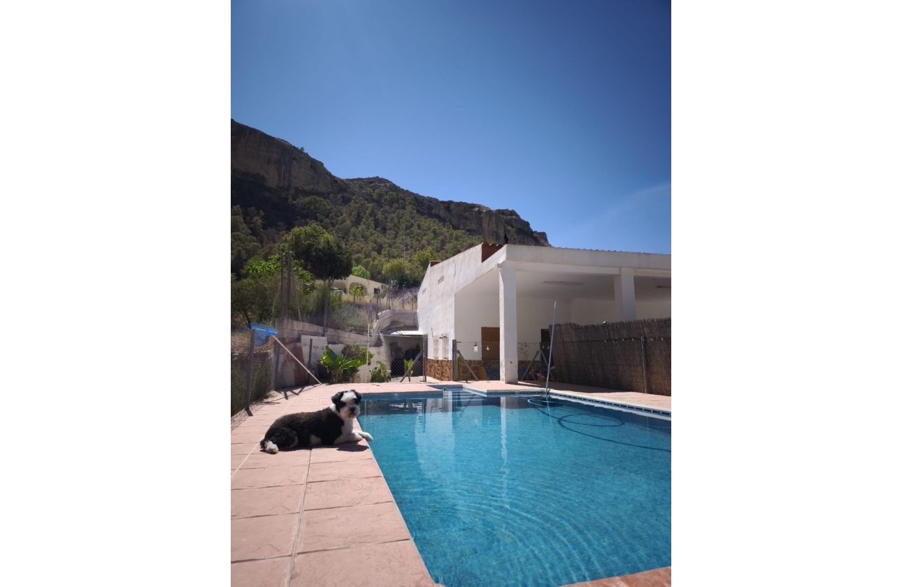 Resale - Finca / Country Property - Crevillente