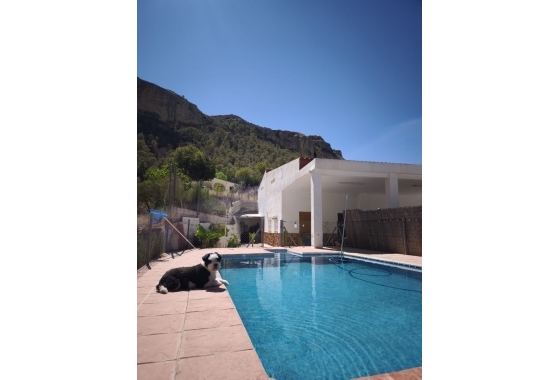 Resale - Finca / Country Property - Crevillente