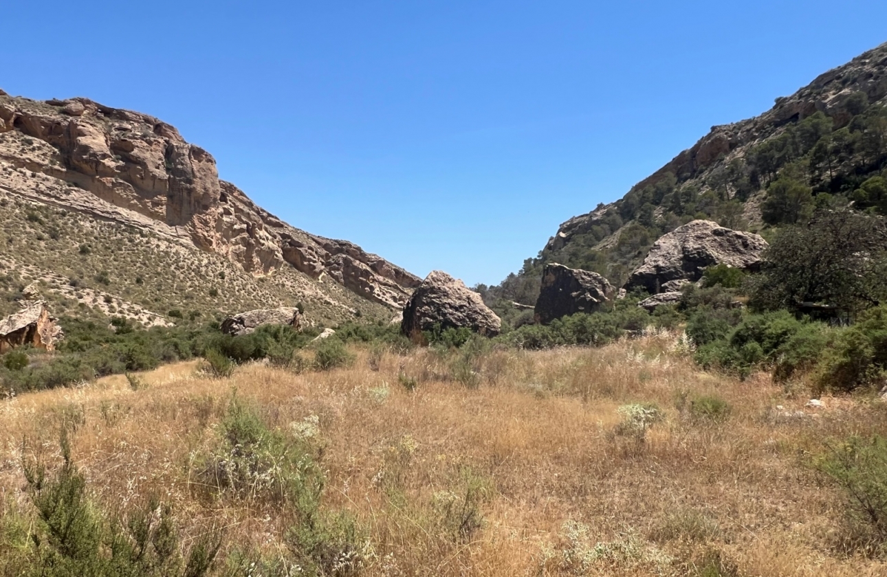 Resale - Finca / Country Property - Crevillente