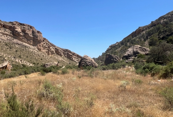 Resale - Finca / Country Property - Crevillente