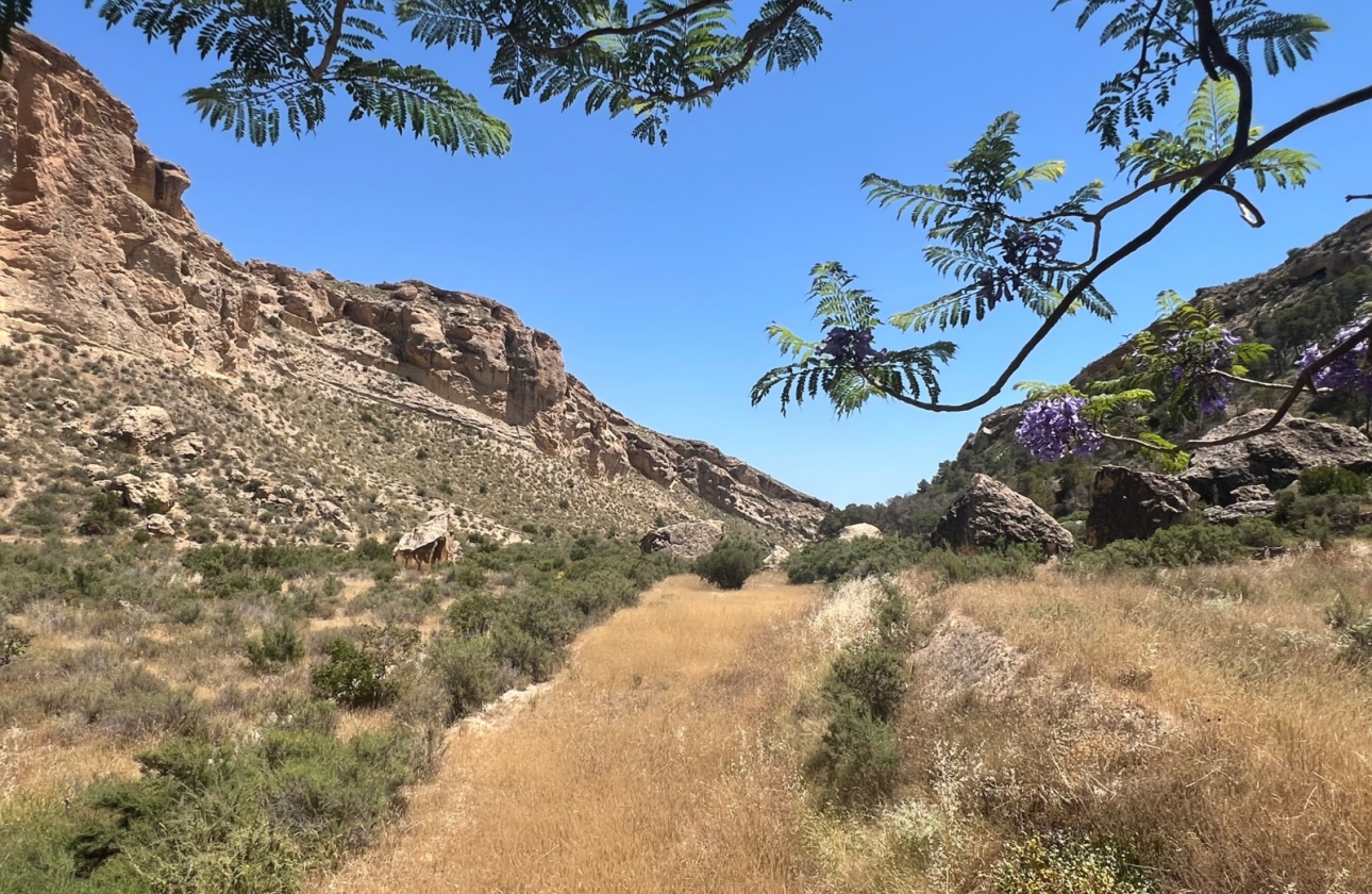 Resale - Finca / Country Property - Crevillente