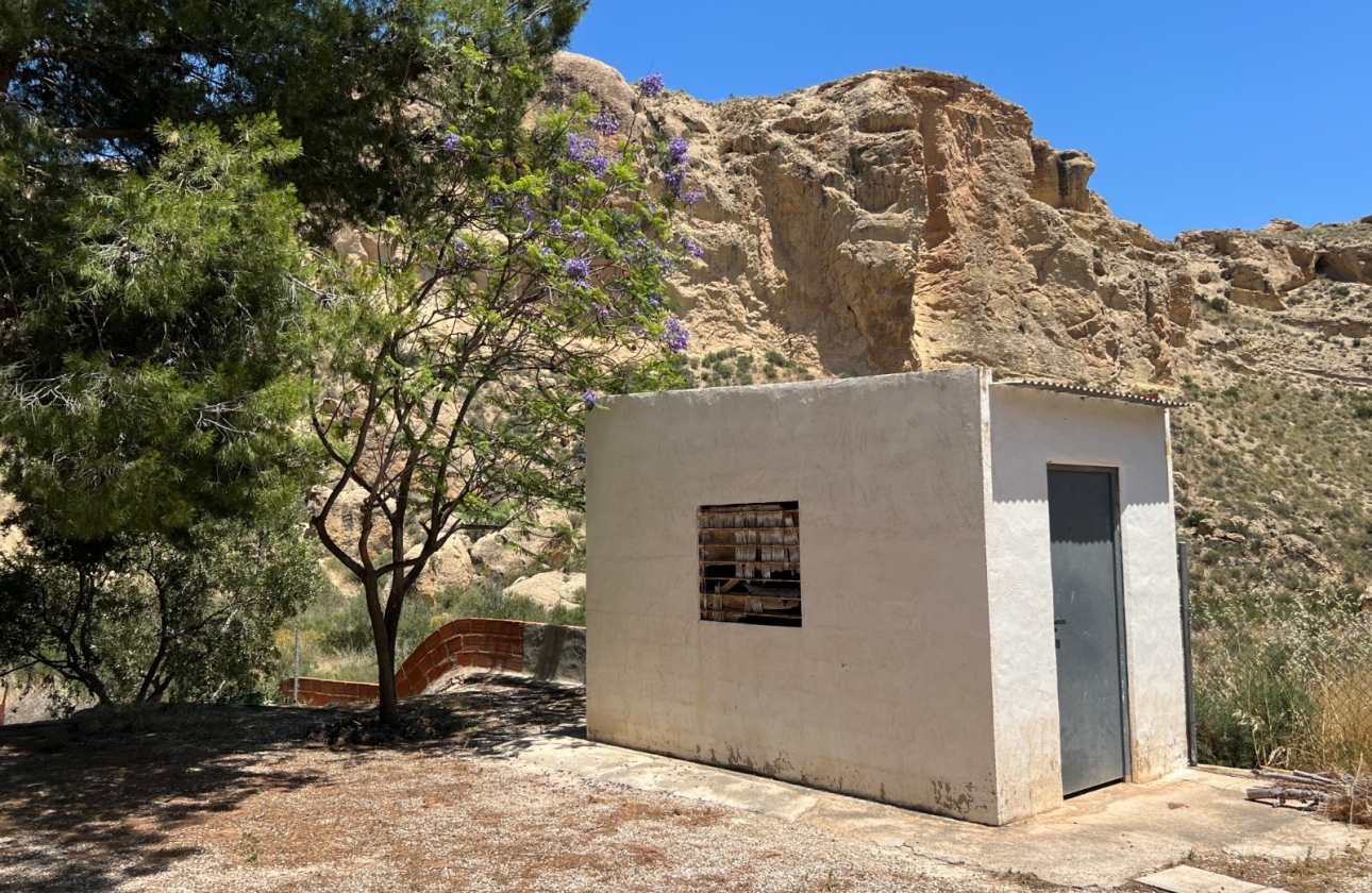 Resale - Finca / Country Property - Crevillente