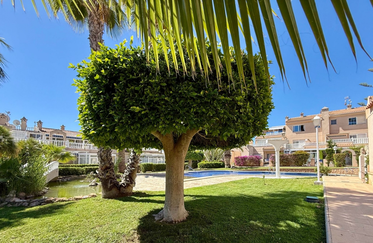 Resale - Apartment / flat - Orihuela Costa - Playa Flamenca