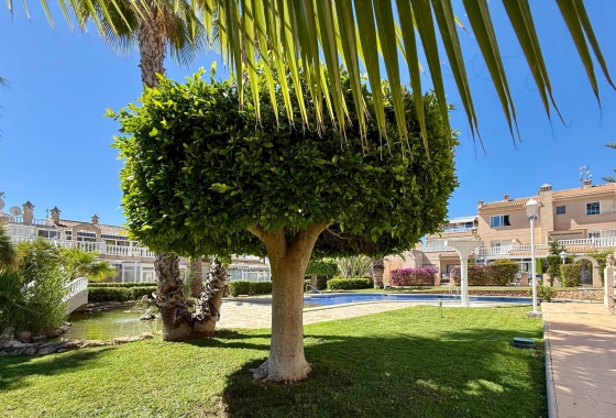 Resale - Apartment / flat - Orihuela Costa - Playa Flamenca