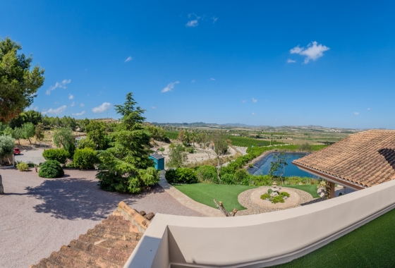 Resale - Finca / Country Property - San Miguel de Salinas - Torremendo