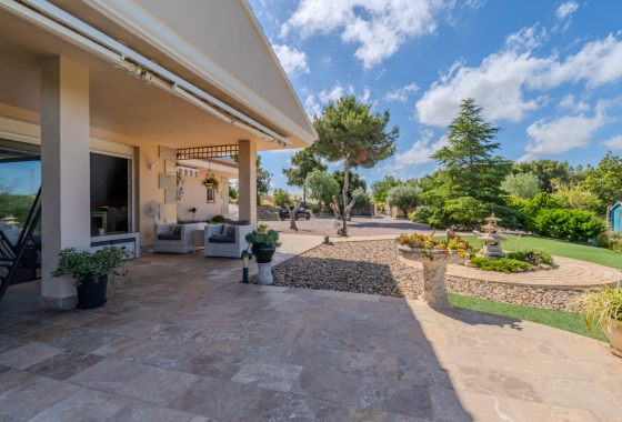 Resale - Finca / Country Property - San Miguel de Salinas - Torremendo