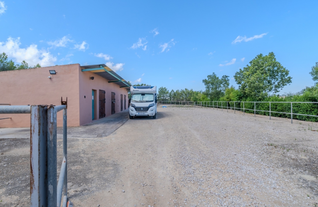 Resale - Finca / Country Property - San Miguel de Salinas - Torremendo