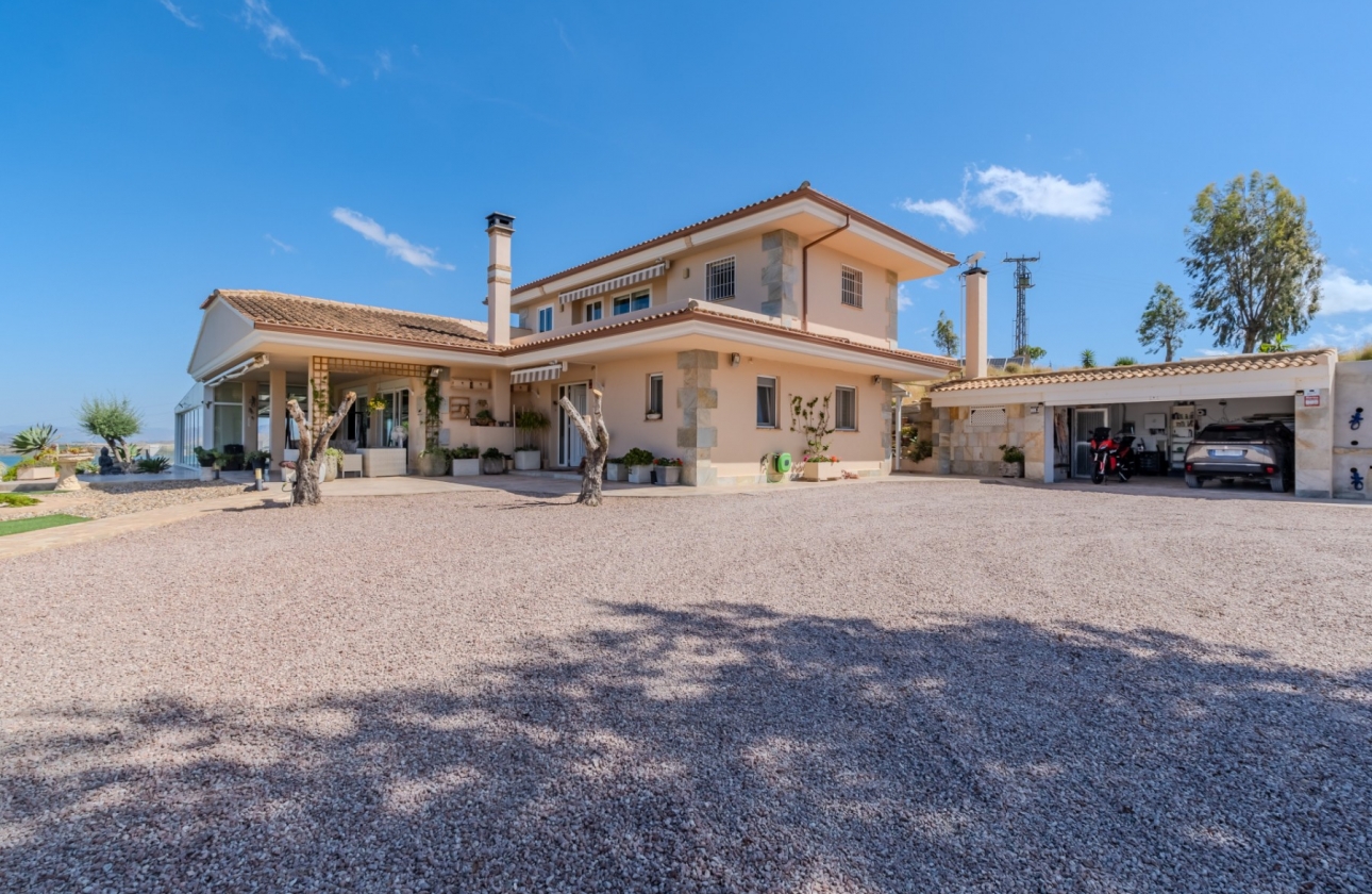 Resale - Finca / Country Property - San Miguel de Salinas - Torremendo