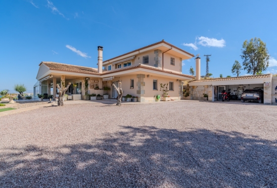 Resale - Finca / Country Property - San Miguel de Salinas - Torremendo